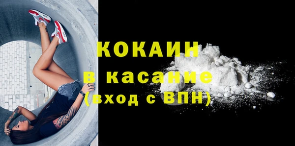 сатива Арсеньев
