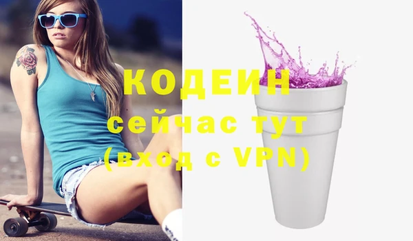 сатива Арсеньев