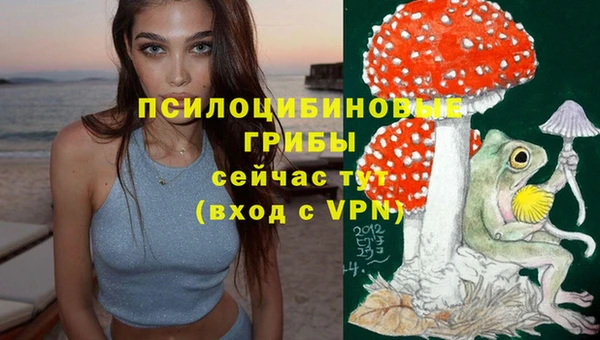 синтетический гашиш Армянск