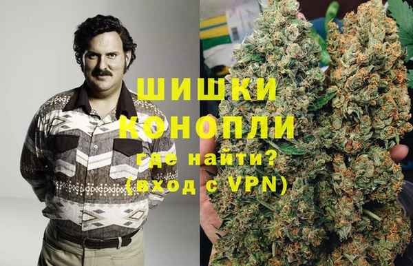 шишки Аркадак