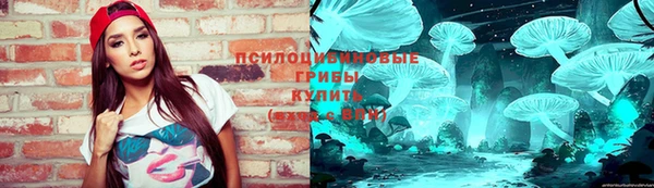 шишки Аркадак