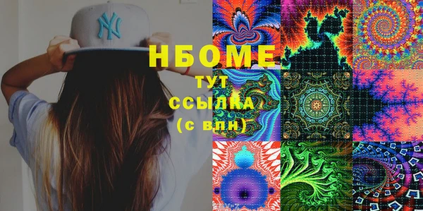сатива Арсеньев
