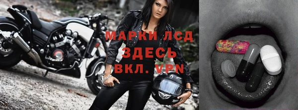 шишки Аркадак