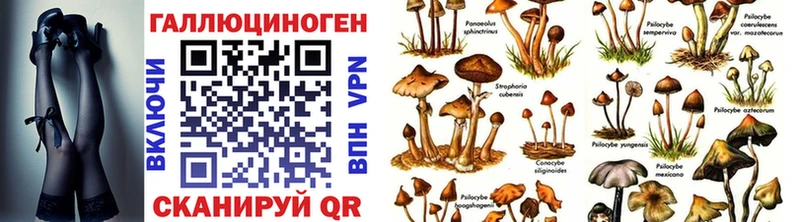 мориарти наркотические препараты Белёв Псилоцибиновые грибы ЛСД продажа наркотиков кракен как войти